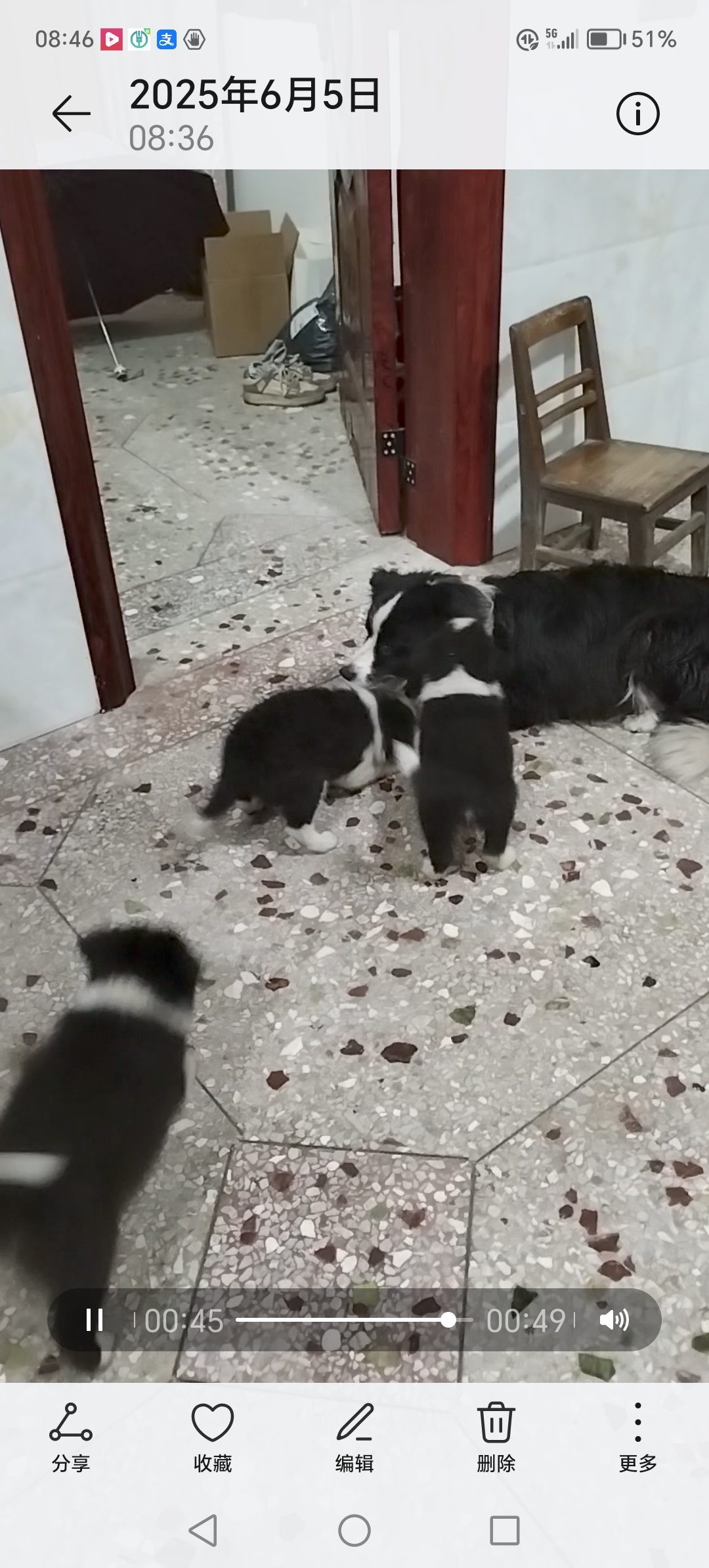 小牧牧